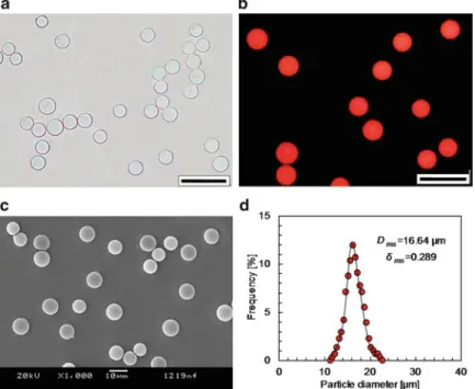 Fig. 2.8 (a) Optical microgram of PNIPAM microspheres in water, (b) CLSM image of Rd B-dyed PNIPAM microspheres, (c) SEM image of air-dried PNIPAM microspheres, and (d) size distributions of the resultant PNIPAM microspheres dispersed in water