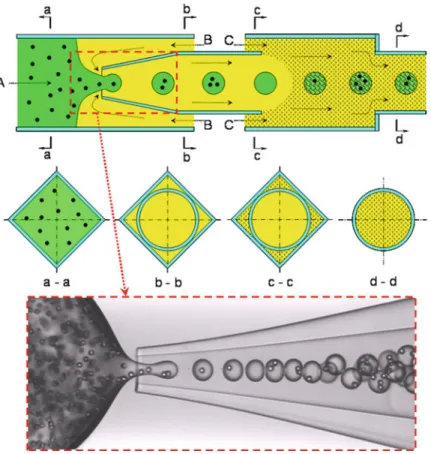 Fig. 2.13 Microfluidic device for preparing monodisperse microgels with embedded solid parti- parti-cles