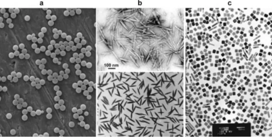 Fig. 3.1 Examples of colloidal materials: a) latex spheres, b) rods (top: cellulose whiskers and bottom: iron oxide particles) and c) gold cubes together with rods