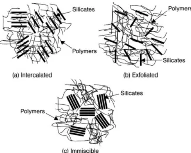 Fig. 4.5 Possible nanostructures.