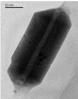 Fig. 2.10 Nanotube evolved from a mixture containing PbS nanoparticles, sodium dodecylsulfate and poly(ethylene oxide).