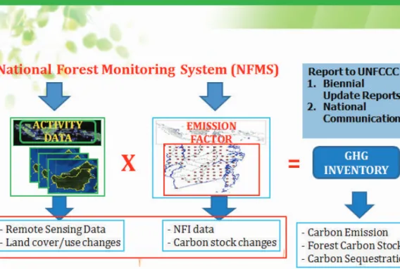 Figure 4-3. NFMS in the context of reporting, in particular for the needs of  GHG Inventory under National Communication and Biennial Update Report.