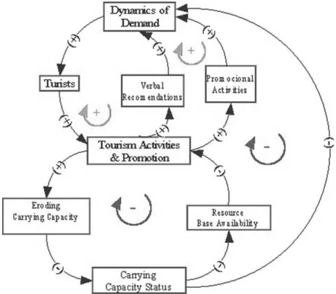 Figure 9.5: Example of feedback cycles (demand, promotion and carrying capacity).