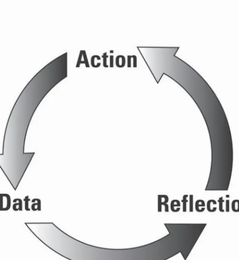 Figure 1.1.  Action Research Mindset