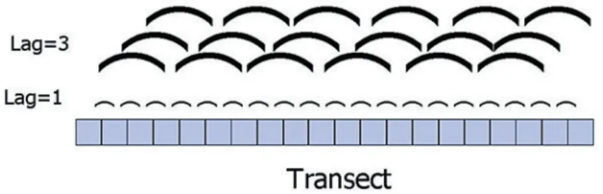 Figure 5.3  A 20-quadrat-long transect illustrating all of the pairs of points separated by two  selected lags: 1 and 3