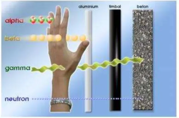 Gambar 3 Daya Tembus Sinar Alfa Beta dan Gamma 