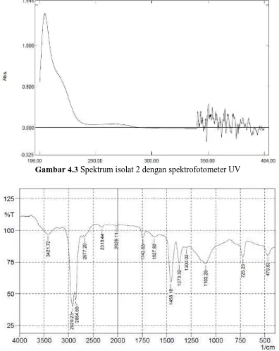 Gambar 4.3 Spektrum isolat 2 dengan spektrofotometer UV 