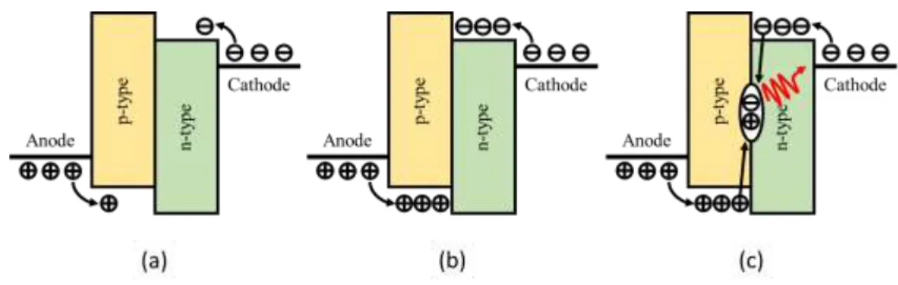 Figure 2.4 Electron and holes flow mechanishm in OLED: (a) charge  injection, (b) charge transportation, (c) charge recombination