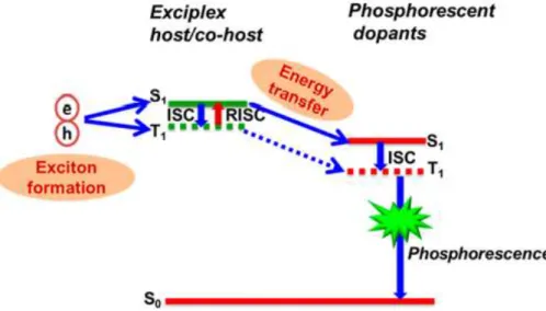 Figure 2.8 The exciplex system as a co-host for phosphorescent dopant.[11] 