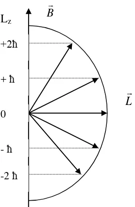 Figure 5.4. Space Quantification of Angular Momentum in Magnetic Field 