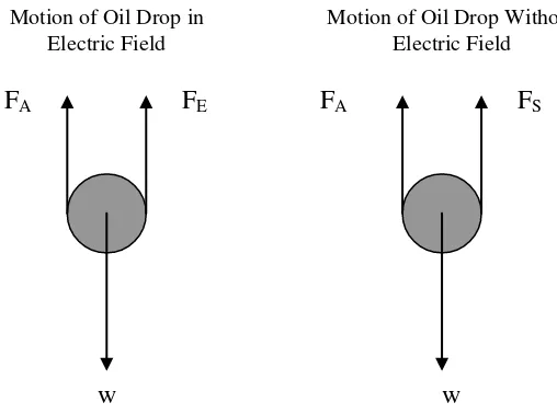 Figure 9.11. Force Equilibrium in Oil Drop 