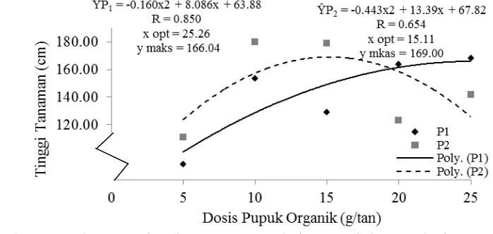 Gambar 3.  Hubungan  tinggi  tanaman  tembakau  Deli dengan dosis  pupuk    organik pada berbagai intensitas pemupukan umur 60 HSPT 