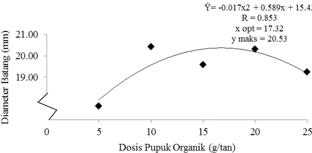 Gambar 4. Histogram diameter tanaman tembakau Deli dengan berbagai  intensitas pemupukan umur 60 HSPT 