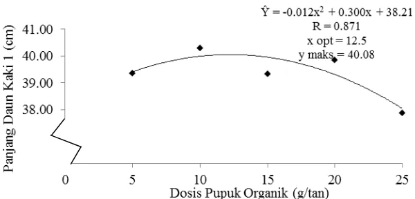 Gambar 21. Hubungan panjang daun kaki 1 tanaman tembakau Deli dengan dosis   pupuk organik 