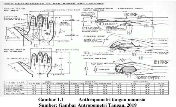 Gambar 1.1  Anthropometri tangan manusia  Sumber: Gambar Antropometri Tangan. 2019 