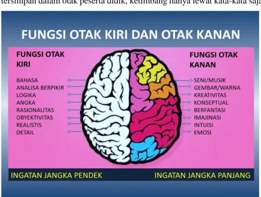 Gambar 13. Fungsi otak kanan dan otak kiri 