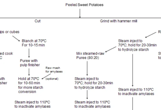 Figure 1. Different processes for sweet potato puree production. 