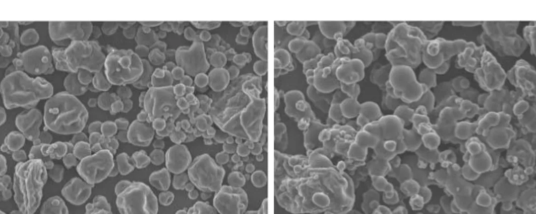 Figure 4. Scanning electron microscope image of spray dried powder. (a). Without amylase treatment,  (b) With amylase treatment (adapted from Grabowski et al