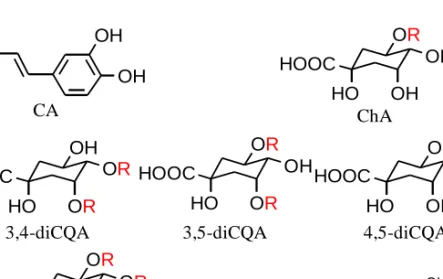Figure 2. Chemical structure of sweet potato caffeoylquinic acid derivatives. 