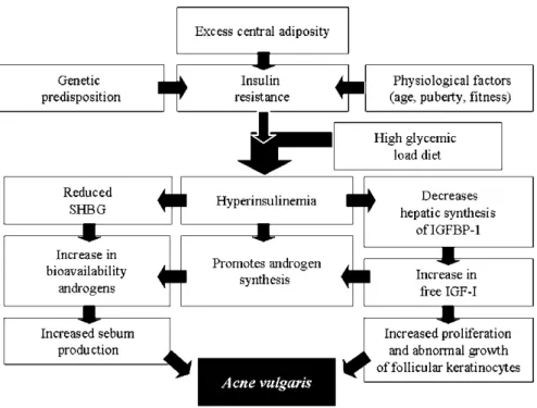 Fig.  10.1  Mechanism  of  a  high  glycemic  load  diet  promoting  acne  in  insulin-resistant  states