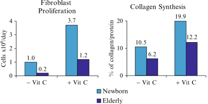 Fig.  4.2  Antiaging  effects  of  vitamin  C  on  newborn  and  elderly  fibroblasts  in  vitro