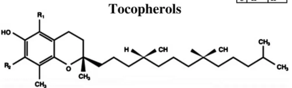 Fig. 4.4  Molecular structure of tocopherol isomers