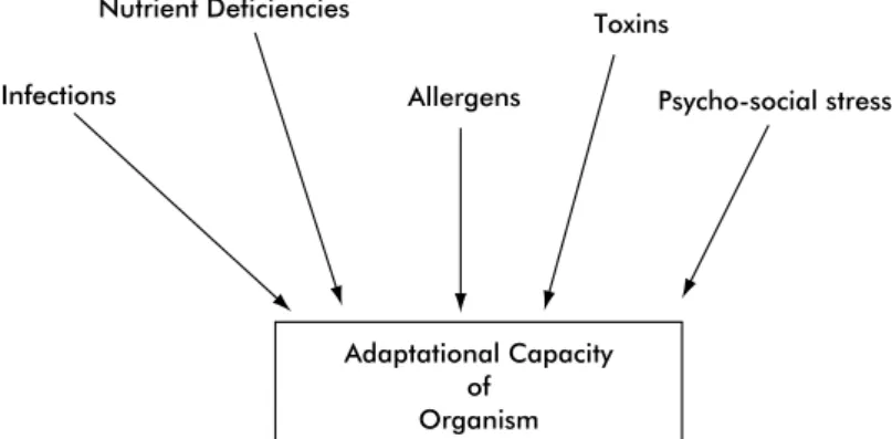 FIG. 2-2 The container model of adaptational capacity.