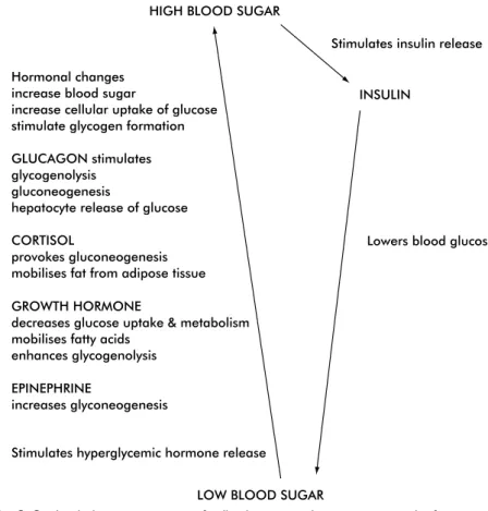 FIG. 3-3 Blood glucose—a negative feedback system. Gluconeogenesis is the formation of glu- glu-cose from noncarbohydrate sources (i.e., fat and protein)