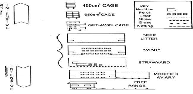 Figure 1. Housing systems for ‘alternative systems’ of poultry husbandry (from Henuk, 2015:  