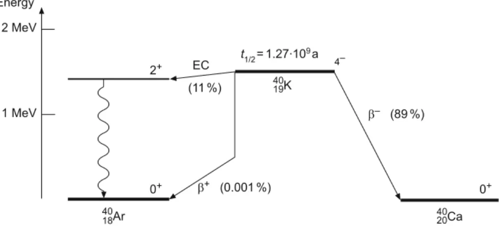 Fig. 3.4 The ˇ-decay of 40 K. In this nuclear conversion, ˇ  - and ˇ C -decay as well as electron capture (EC) compete with each other