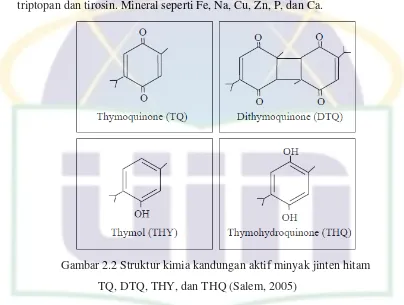 Tabel 2.1 Kandungan kimia biji jinten hitam secara umum 