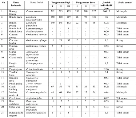 Tabel 3. Kelimpahan relatif spesies burung yang terdapat di kampus Universitas Negeri Yogyakarta 
