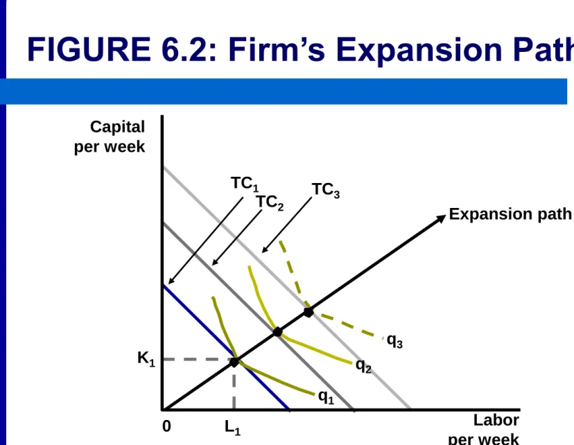 FIGURE 6.2: Firm’s Expansion Path