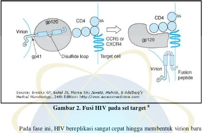 Gambar 2. Fusi HIV pada sel target 8 