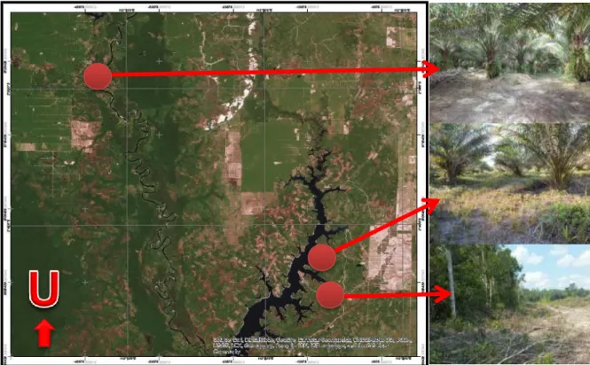 Figure 1. Condition in Seruyan Regency 