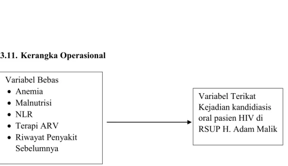 Gambar 3.1. Diagram Kerangka Operasional Variabel Bebas  