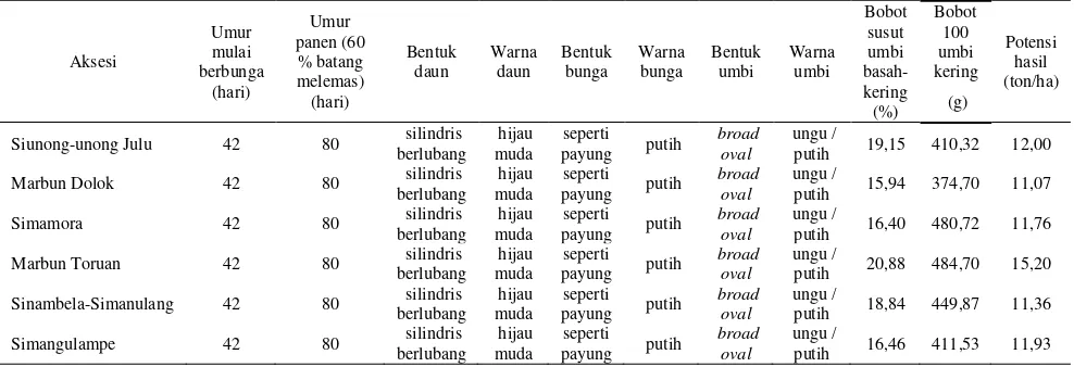 Tabel 1. Hasil identifikasi karakter bawang merah lokal Samosir tiap aksesi. 