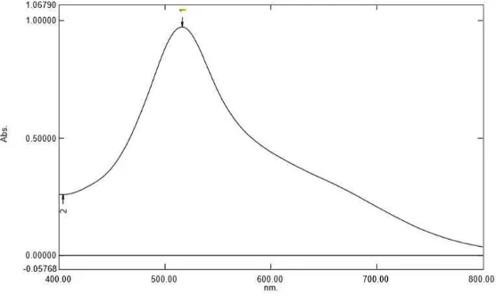 Gambar 4.1 Kurva serapan maksimum larutan DPPH 40 ppm dalam metanol menggunakan spektrofotometer UV-Visibel 