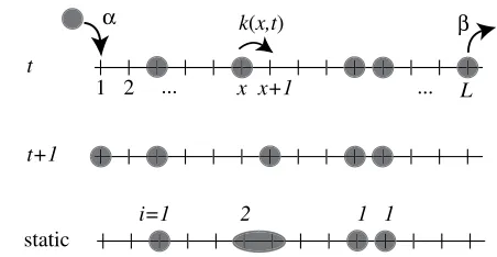 Figure 1. Illustration of the relationship between the TASEP and the hard core lattice gas