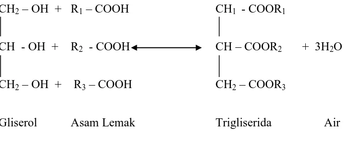 Gambar 2. Reaksi Trigliserida 