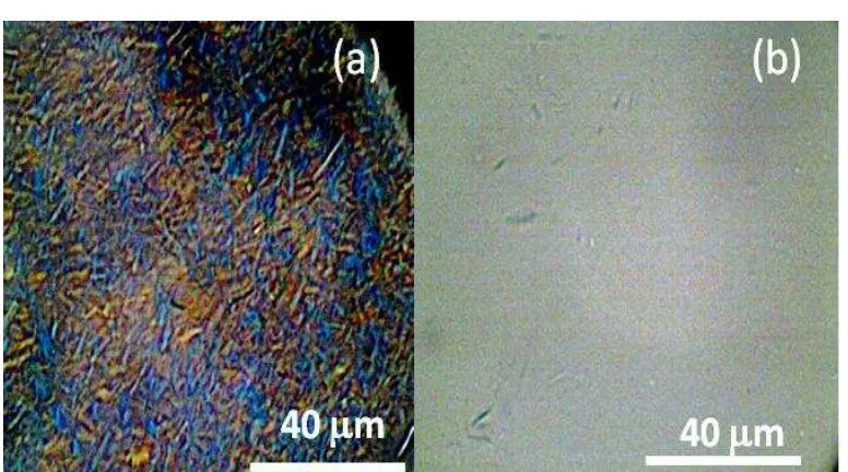 Figure 2.treated using H Microcrystalline of cellulose fiber from processed from alpha cellulose after being 2SO4(40%v/v) at 1 hour (b) 4 hour