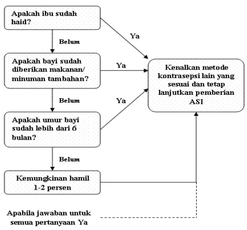 Gambar 2.4. Diagram Metode Amenore Laktasi 