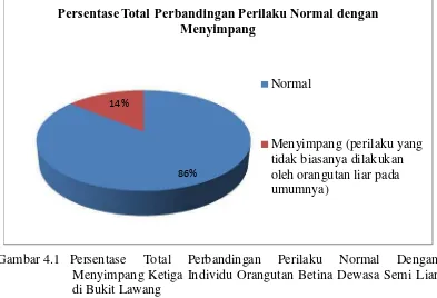 Gambar 4.1   Persentase 