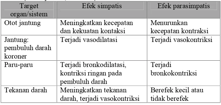 Tabel 3. Perbandingan Fungsi Saraf Simpatis dan Saraf Parasimpatis(Kenney et al., 2011: 82)