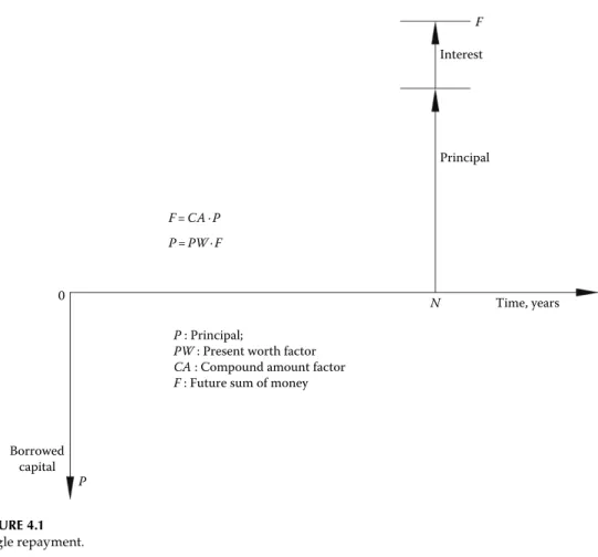 FIGURE 4.1 Single repayment.