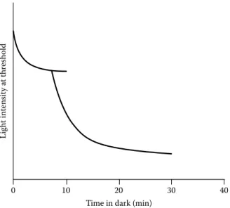 FIGURE 7.1  Increasing sensitivity to light aft er time in darkness (dark adaptation)