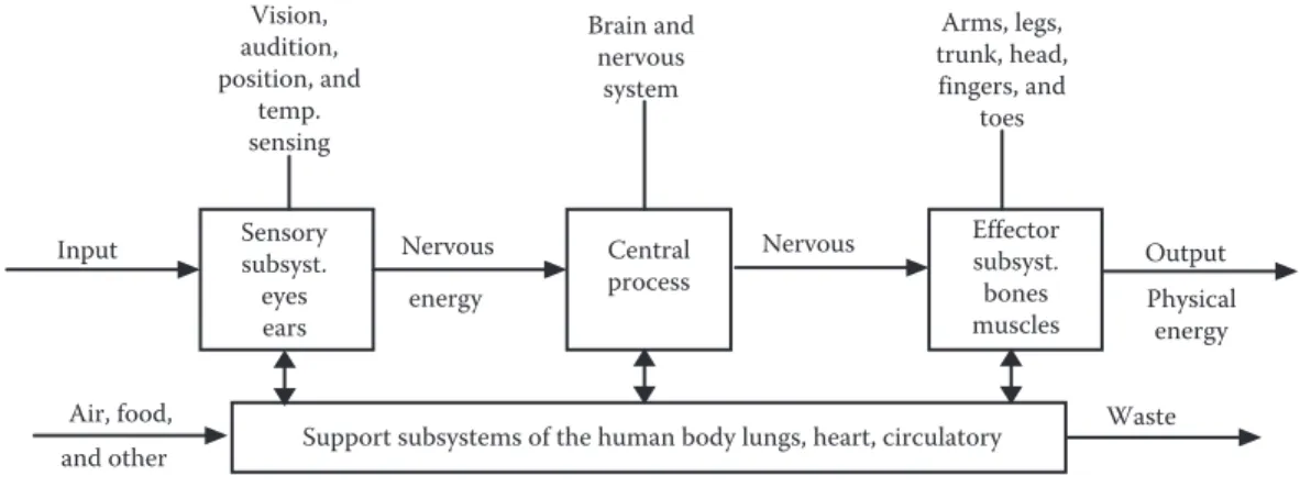 Figure 2.1  Subsystems of the human body.