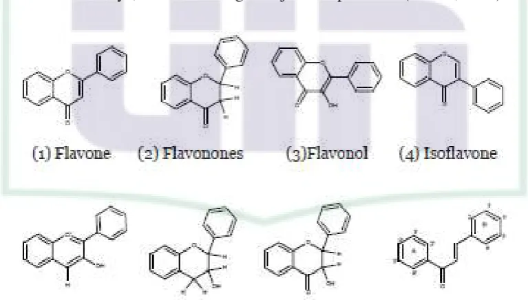 Gambar 2.5. Pembagian flavonoid 
