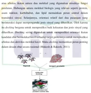Gambar 2.11.  Konsep dasar penambatan molekul 
