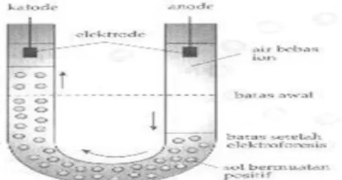 Gambar 3 Mekanisme elektroforesis  5. Koagulasi Koloid 